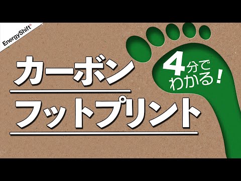 炭素ゼロを実現する革新的な温室の利点