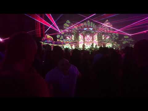 Elements 2019 - protonica