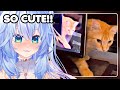 Bro got CAUGHT IN 4K | Mifuyu Reacts to  UNUSUAL MEMES COMPILATION V251