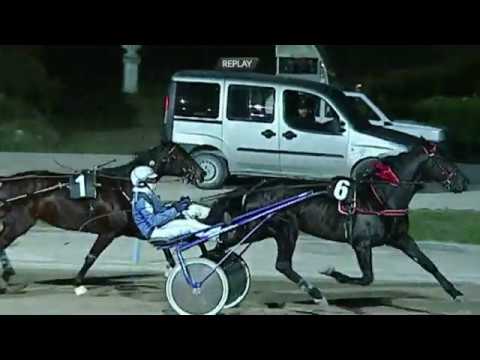 Aversa trotto 5 Febbraio 2020 - 6° Corsa