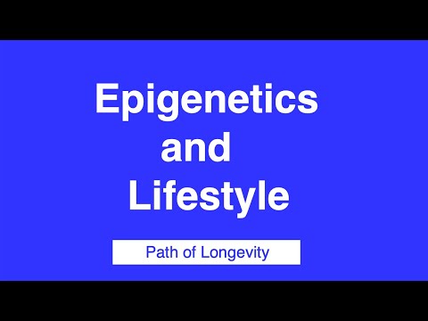 090-Epigenetics & Lifestyle