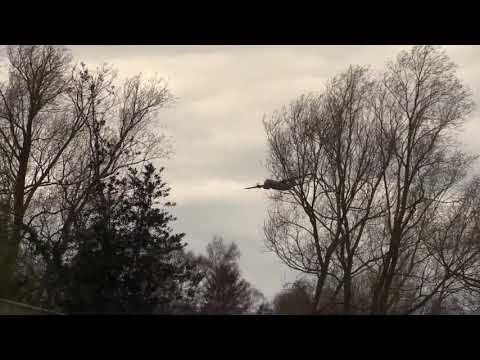 RAF Lockhead C-130J Hercules low pass over Smallburgh