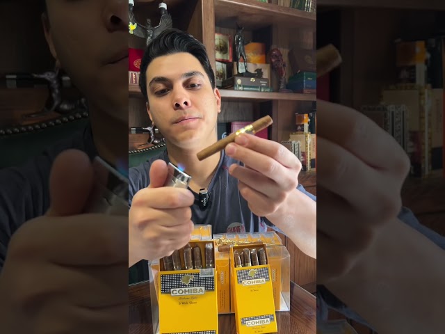 علبة سيجار كوهيبا شورتس 10 حبات