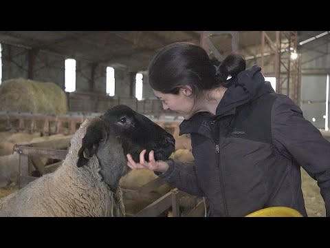 Agriculteurs français: Les raisons de la colère