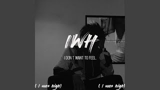 I Don't Want to Feel. Music Video