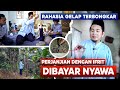 Rahasia Gelap Terbongkar Perjanjian Dengan Ifrit Dibayar Nyawa