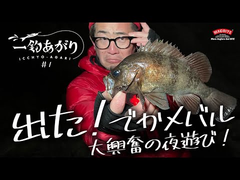 《 一釣あがり vol.1 》でかメバルをキャッチ！ MCアングラー「ピーナッツ」的・大興奮な夜遊び