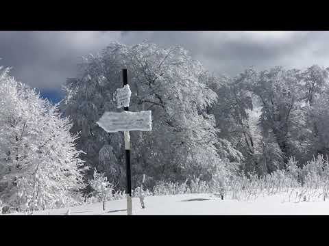 review traseu iarna Azuga - vf Clabucetul Taurului - cabana Garbova - Predeal