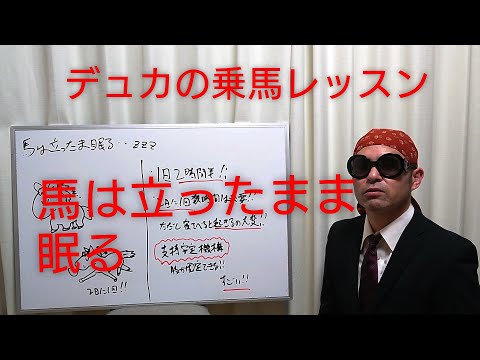 馬は立ったまま寝ますか?