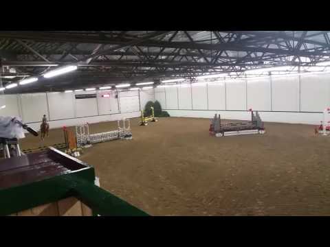 Lori & evan 3 foot jumpers ledges 3-3-2017