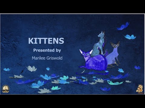 Marilee Griswold's Kitten Finals