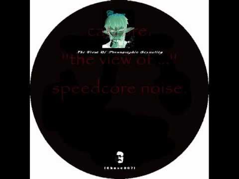 CATCORE. ''the view of ...''  speedcore noise.