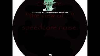 CATCORE. ''the view of ...''  speedcore noise.