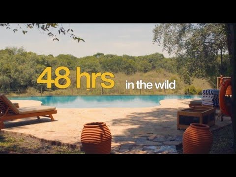 48 ore nella natura selvaggia: il mio soggiorno safari di lusso al Mara Intrepids