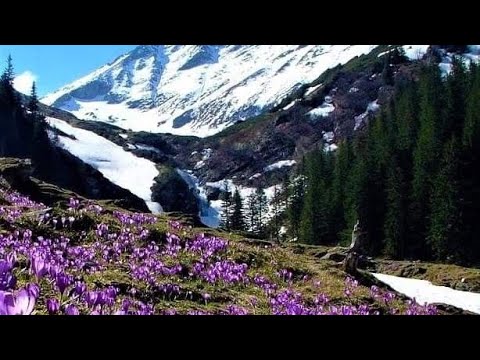 heal dry eye syndrome subliminal