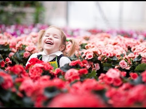 Types of Theme Gardens: Planning & Design Ideas | Planet Natural
