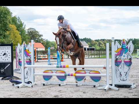 Nuit de Normandy 1919 (KALASKA DE SEMILLY x TANGELO VD ZUUTHOEVE) - Video 2 video thumbnail