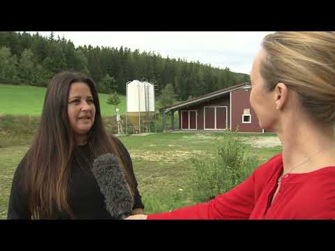 Steirische Landwirtschaft: Biohühnermast