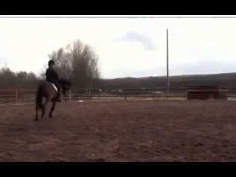 Connemara linnea engdahl