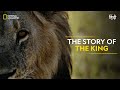 The Story of the King | Savage Kingdom | हिन्दी | Full Episode | S1-E1 | Nat Geo Wild
