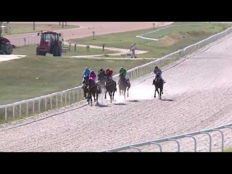 2022.06.19. 06. futam - NÉMETH FERENC EMLÉKKUPA II. FUTAMA HENDIKEP (V/b.)(szintetikus pálya)