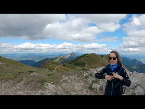 KADETADE - Stohom a Chlebom