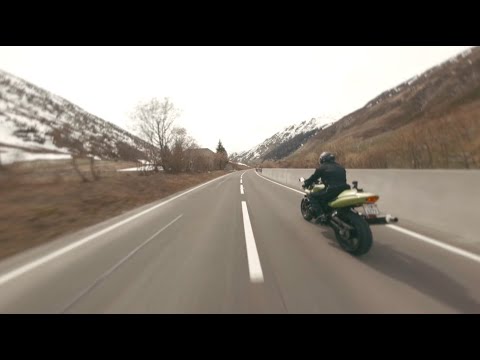 Curious mosquito| Swift FPV