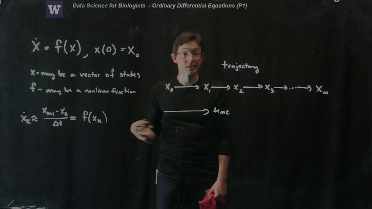 Numerical Calculus: Exploring Ordinary Differential Equations