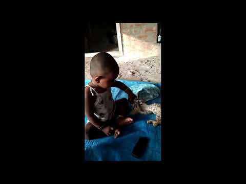 nainika baby💃 my cat 🐱