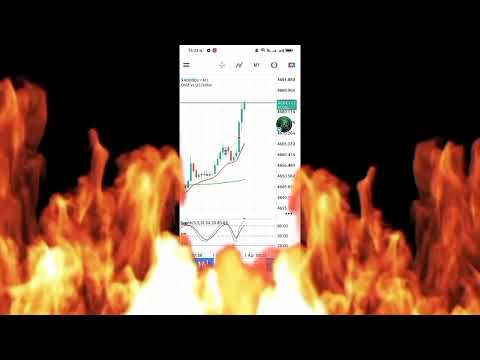 Video RedTigerAggressive
