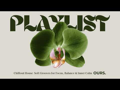 Orchid Focus Vol.4 | Minimal House for Deep Work & Creative Flow