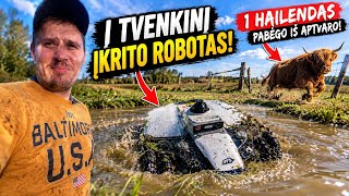 Mammotion LUBA 2 Mini Fell Into the Pond! 😱 Can It Survive?