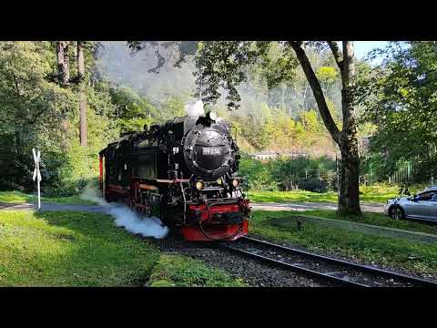 Wernigerode, Die HSB rund um den Bahnhof und das Wasserkraftwerk Steinerne Renne herum