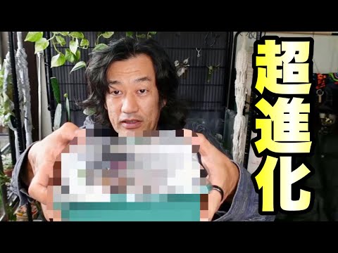 園芸 カバーの下で播種する