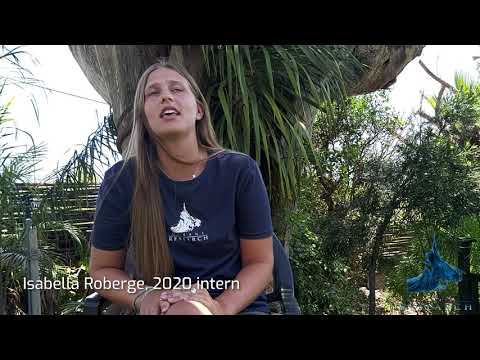 Oceans Research Field Research Program