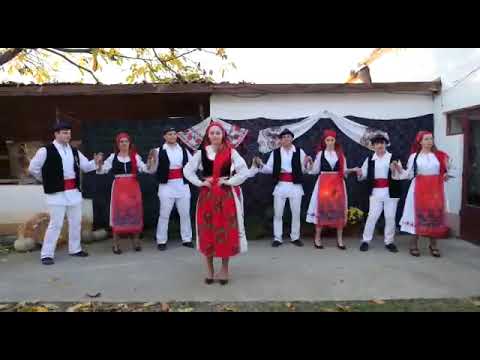 Andreea Cherelușan -Colaj din Țara Zărandului