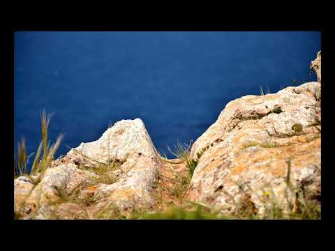 Crop Fm - Cart Ruts - den Spuren auf der Spur  [15.11.2024]