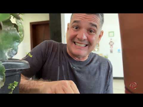 Viação Cipó - Nova União - Bloco 02