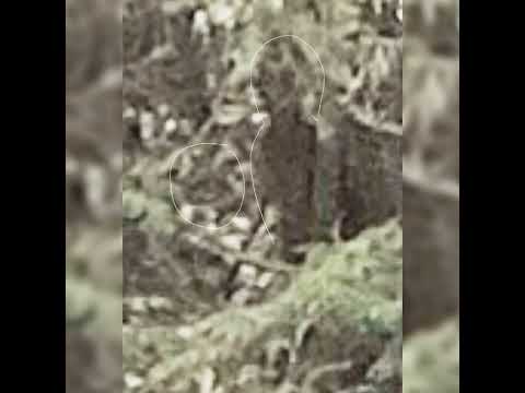 River Peepers 16/04/23 Pt4