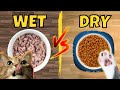 Wet Vs Dry Cat Food Which Is Better Pros And Cons