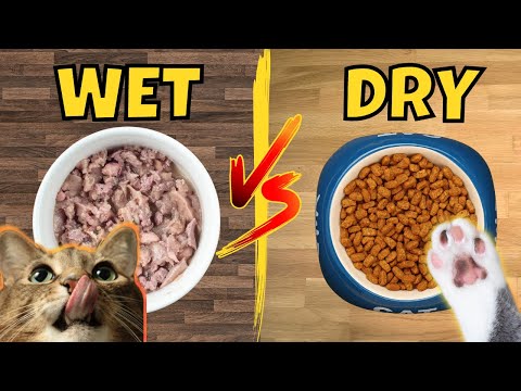 Wet vs. Dry Cat Food: Which is Better? (Pros and Cons)