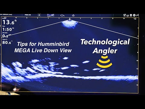 Tips for Humminbird MEGA Live Imaging Down Mode | The Technological Angler
