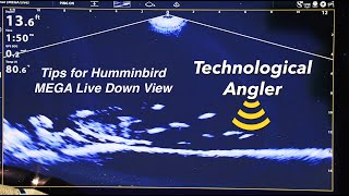 Tips for Humminbird MEGA Live Imaging Down Mode | The Technological Angler