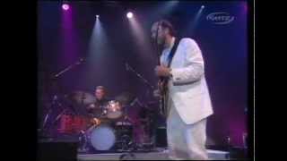 Pat Metheny John Scofield Bill Stewart Everybody's Party