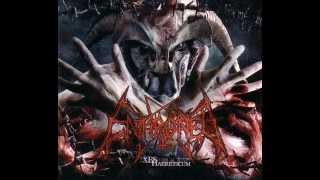 Enthroned - Blacker than Black