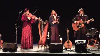 The Real Old Mountain Dew/The Arkansas Traveler by Golden Bough