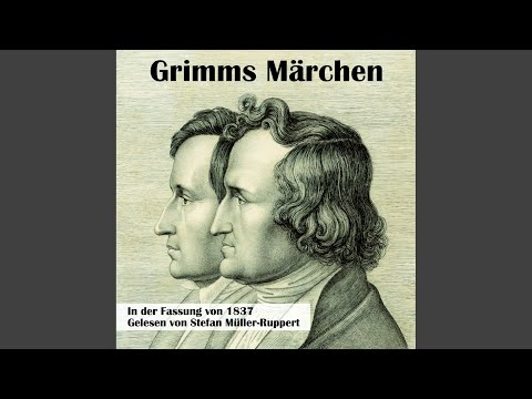 Die weiße und die schwarze Braut