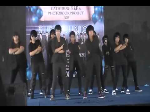 ZUZU - Perfection and Sorry Sorry (Super Junior) Dance Cover