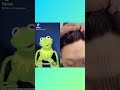 Kermit The Frog Reacts To Hair Raising TIKTOK