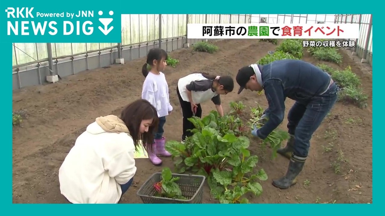 「サラダにして食べたい」　阿蘇の農園で野菜収穫の食育イベント　熊本